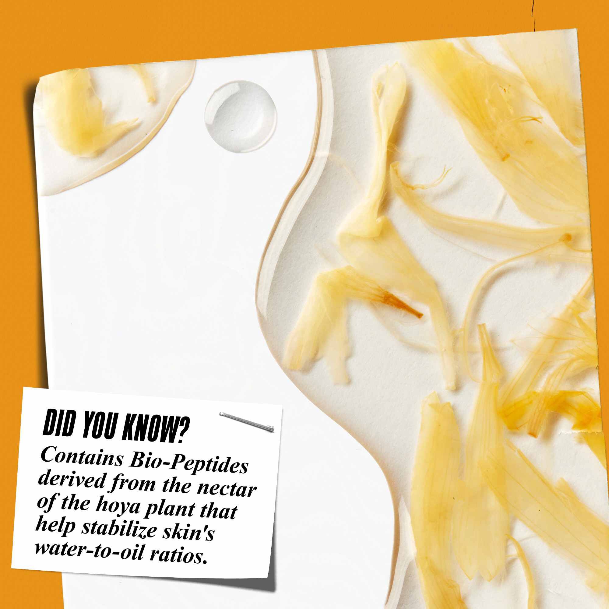 Близък план на текстурата на Calendula Herbal-Extract Toner с листенца от невен и текст: „Знаете ли, че? Съдържа био-пептиди, извлечени от нектара на растението хоя, които помагат за стабилизиране на съотношението вода-мазнини в кожата.“