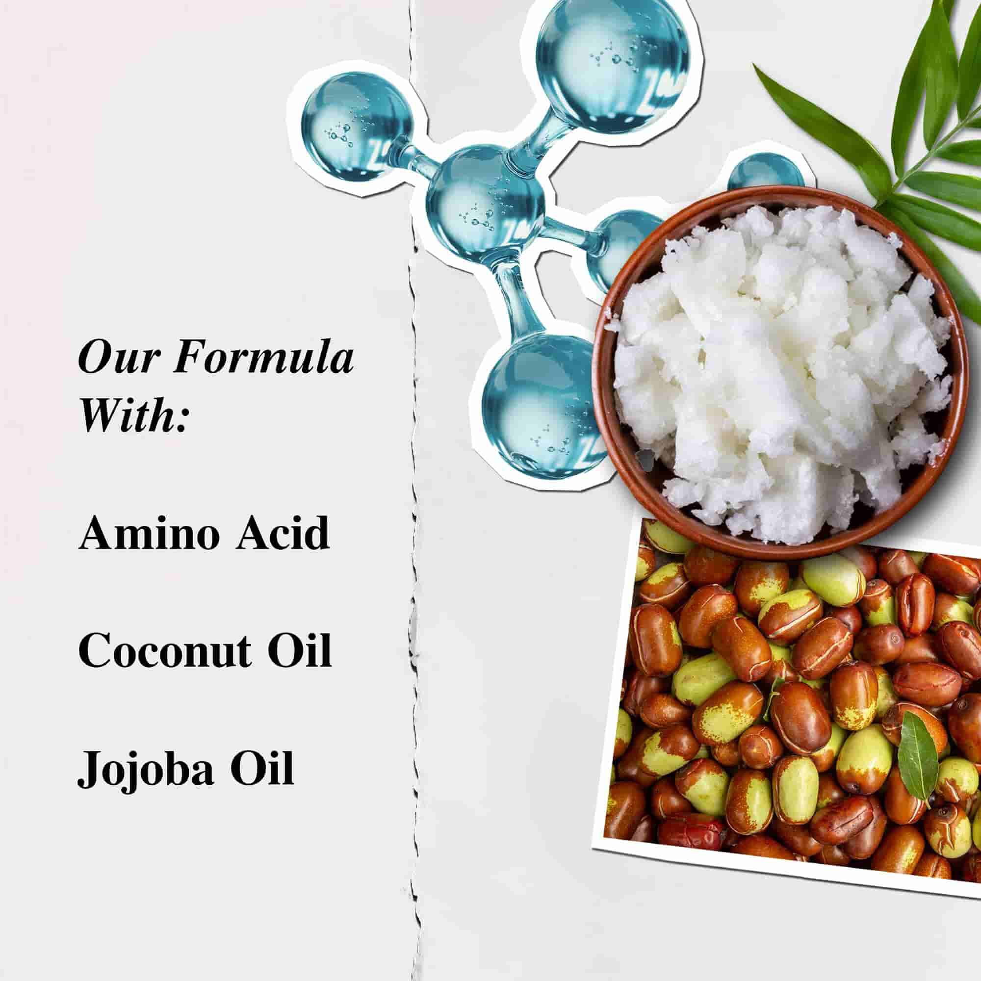 Илюстрация на съставките на Kiehl's Amino Acid Conditioner - аминокиселина, кокосово масло, масло от жожоба