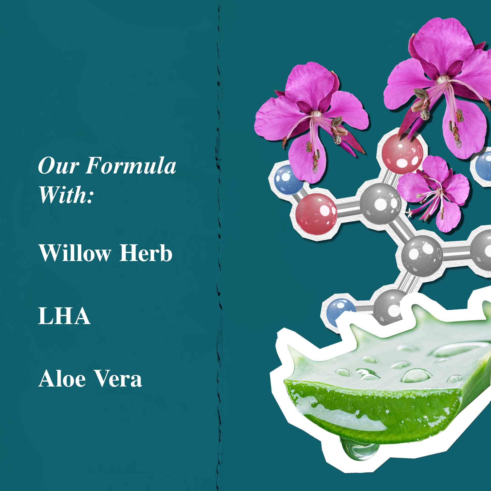 Графика на съставките за Close Shavers Squadron Smooth Glider Precision Shave Lotion, подчертаваща върбовка и алое вера.