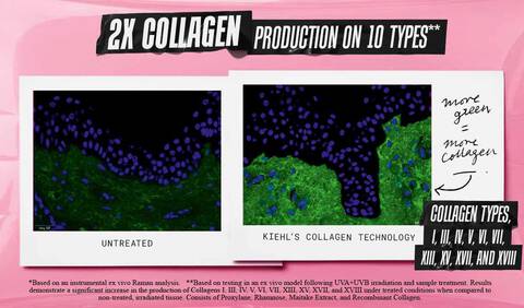2X Collagen Production on 10 Types