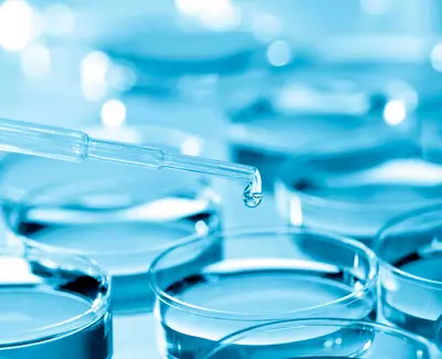A close-up of a dropper releasing a drop of liquid over multiple petri dishes filled with a blue solution.